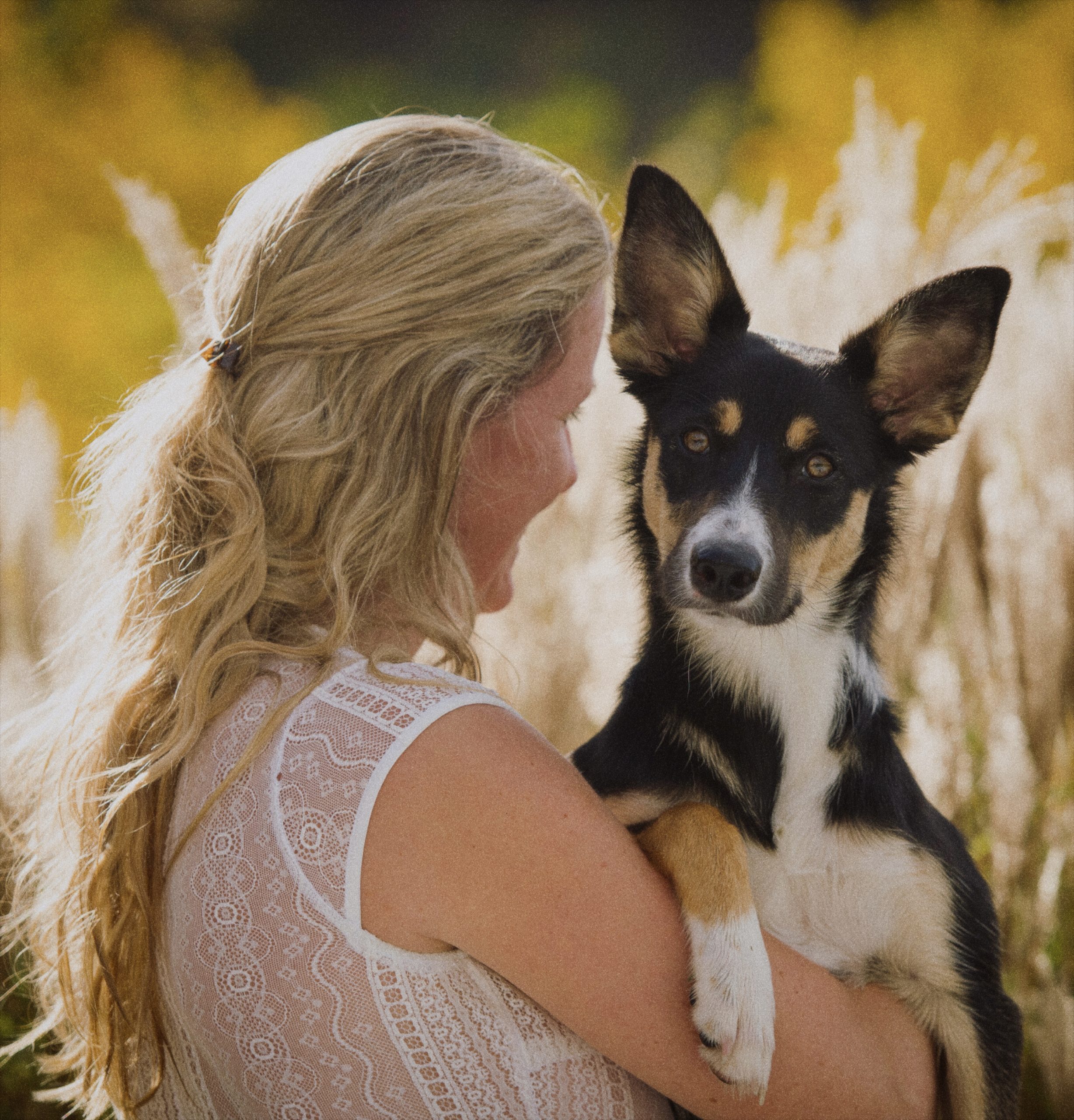 Dr. Sissy Graf im Weizenfeld mit Hund